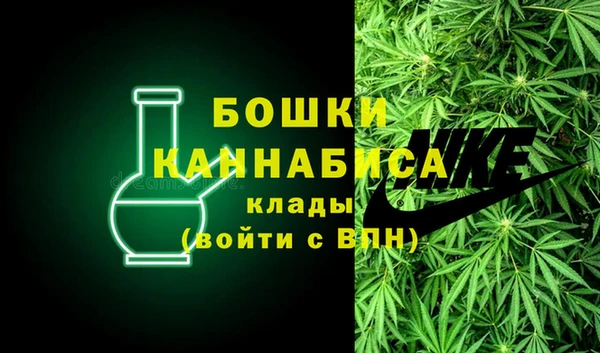 сатива Волоколамск