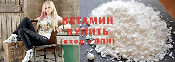 сатива Волоколамск