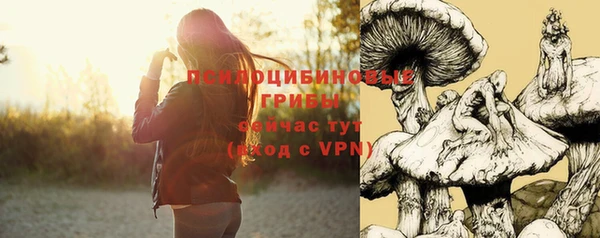 сатива Волоколамск