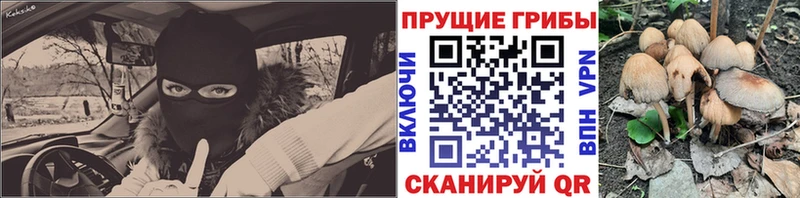 Псилоцибиновые грибы ЛСД  Орехово-Зуево 